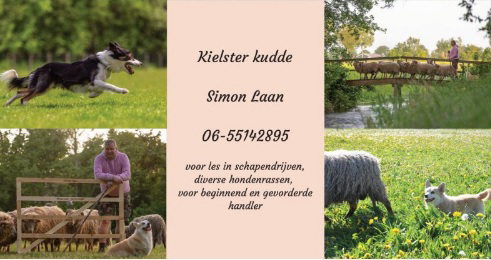 Logo Simon Laan
